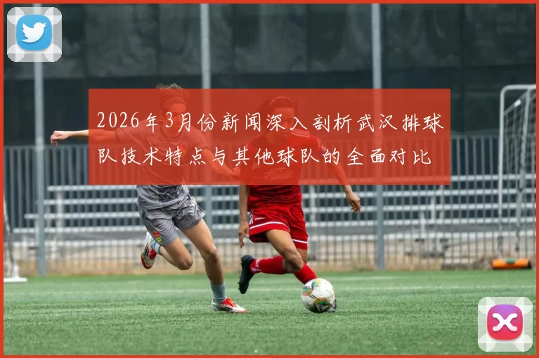 2026年3月份新闻深入剖析武汉排球队技术特点与其他球队的全面对比分析
